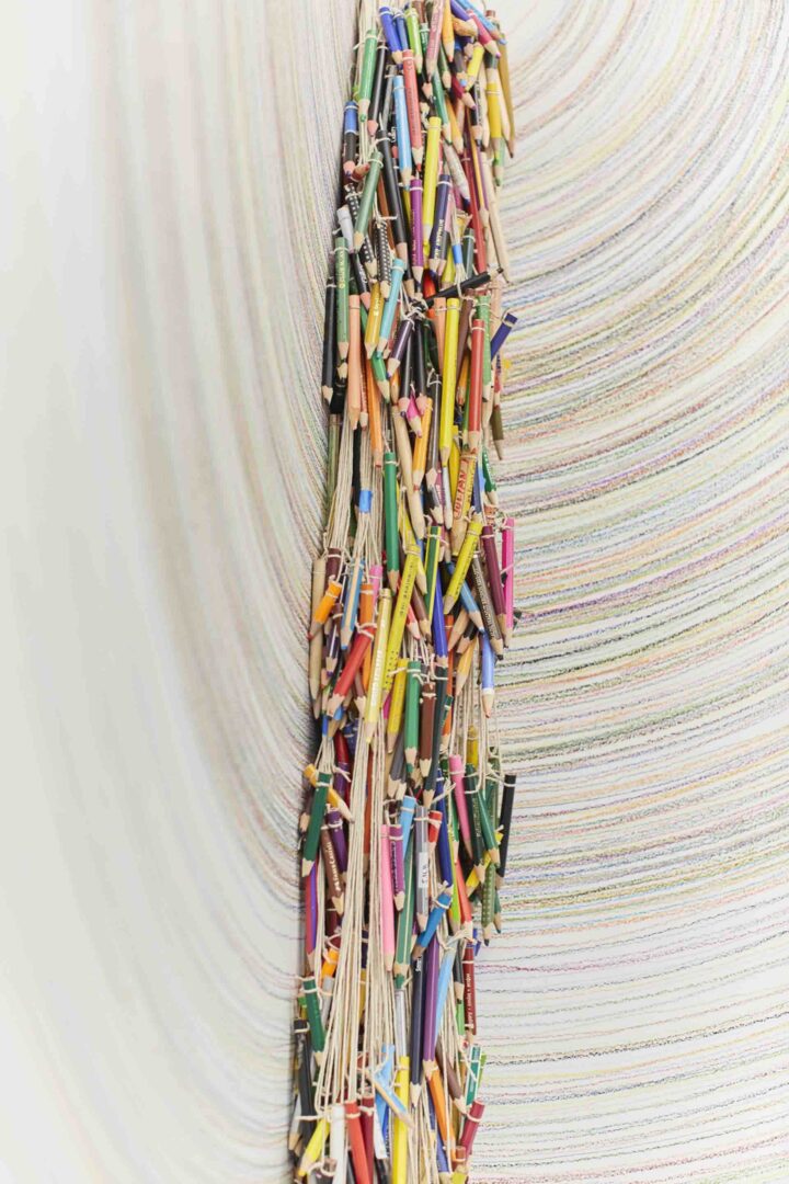 Catalina Bauer Novoa