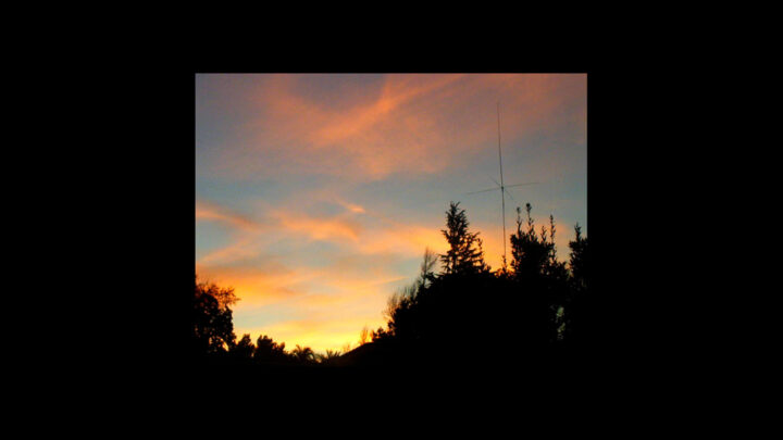 Andrea González Guzmán