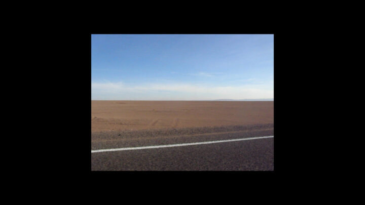 Andrea González Guzmán