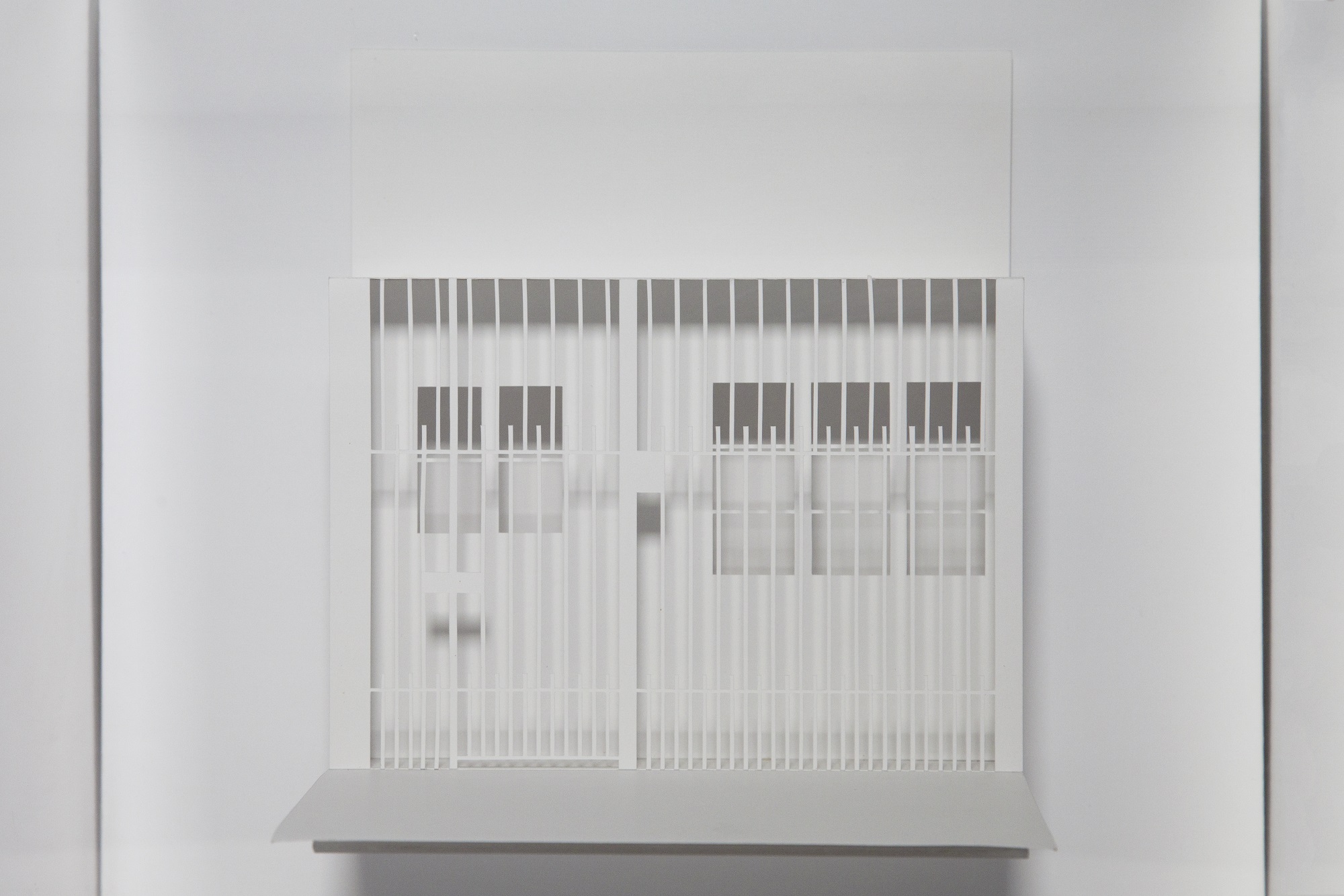 Carol Illanes Manríquez