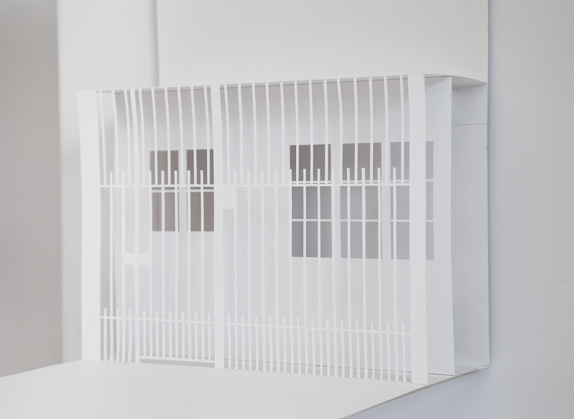 Carol Illanes Manríquez