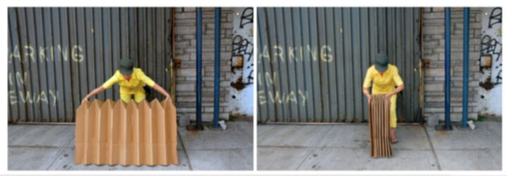 Carolina Pino Ahumada