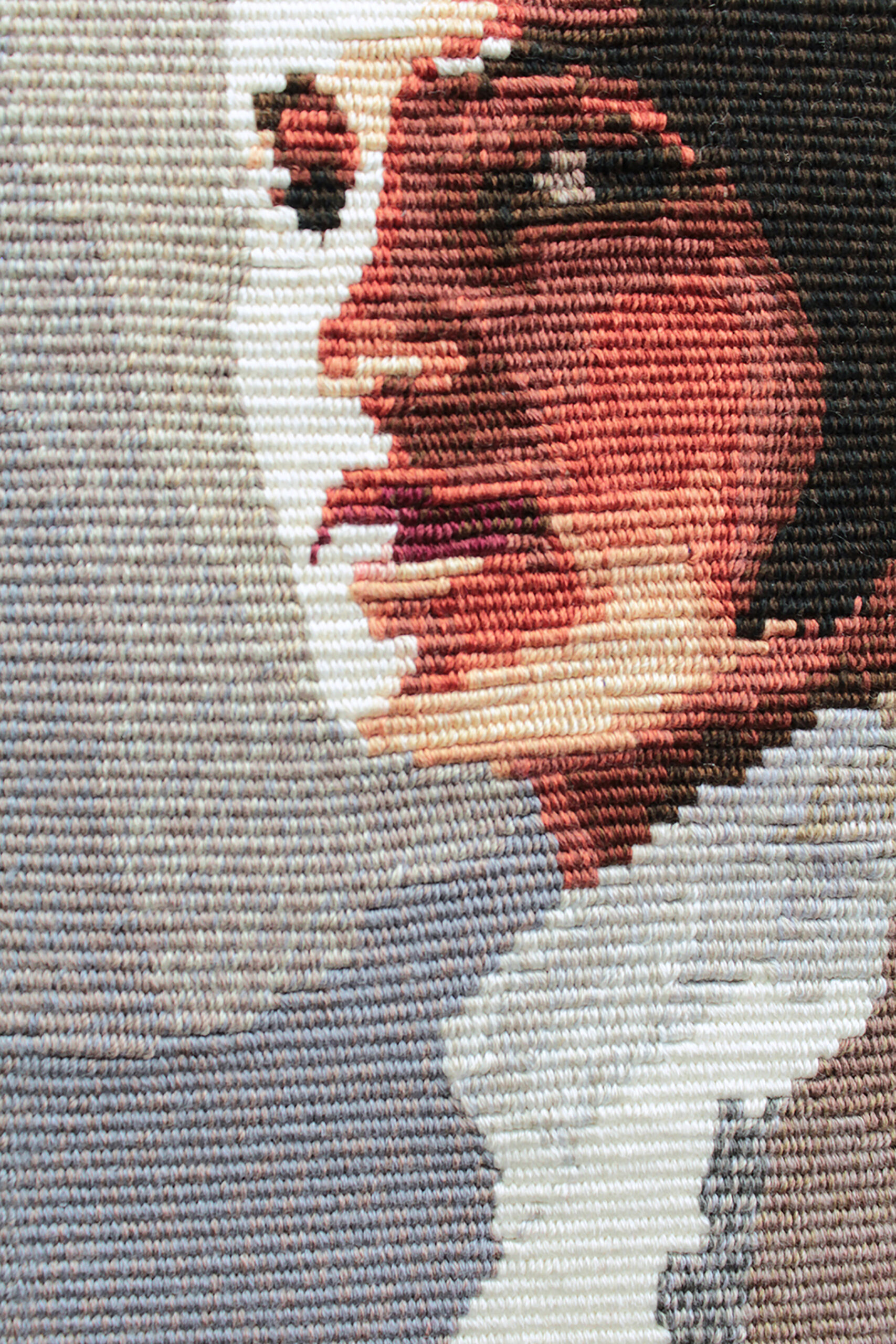 Daniela Contreras Flores