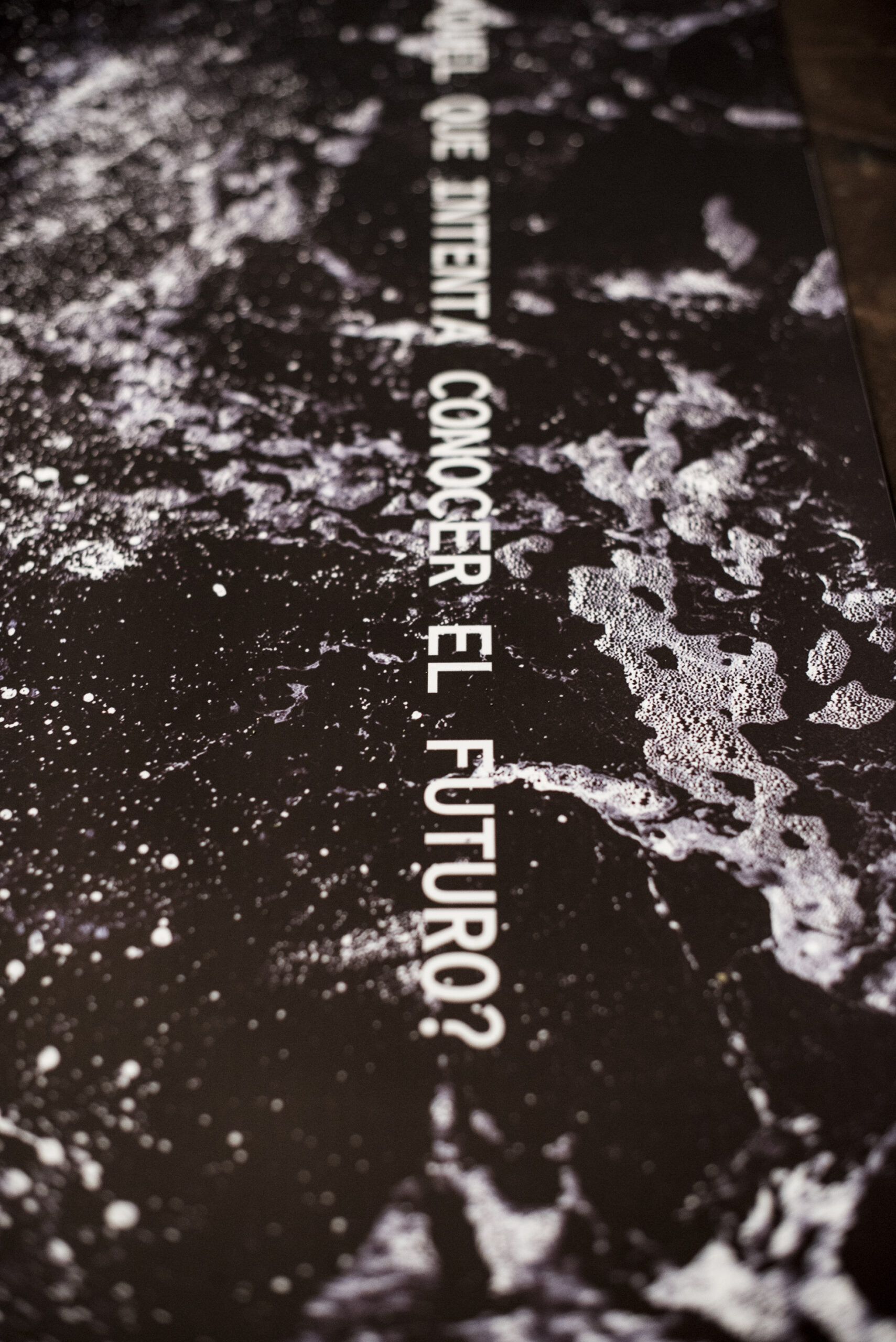 Daniela Canales López