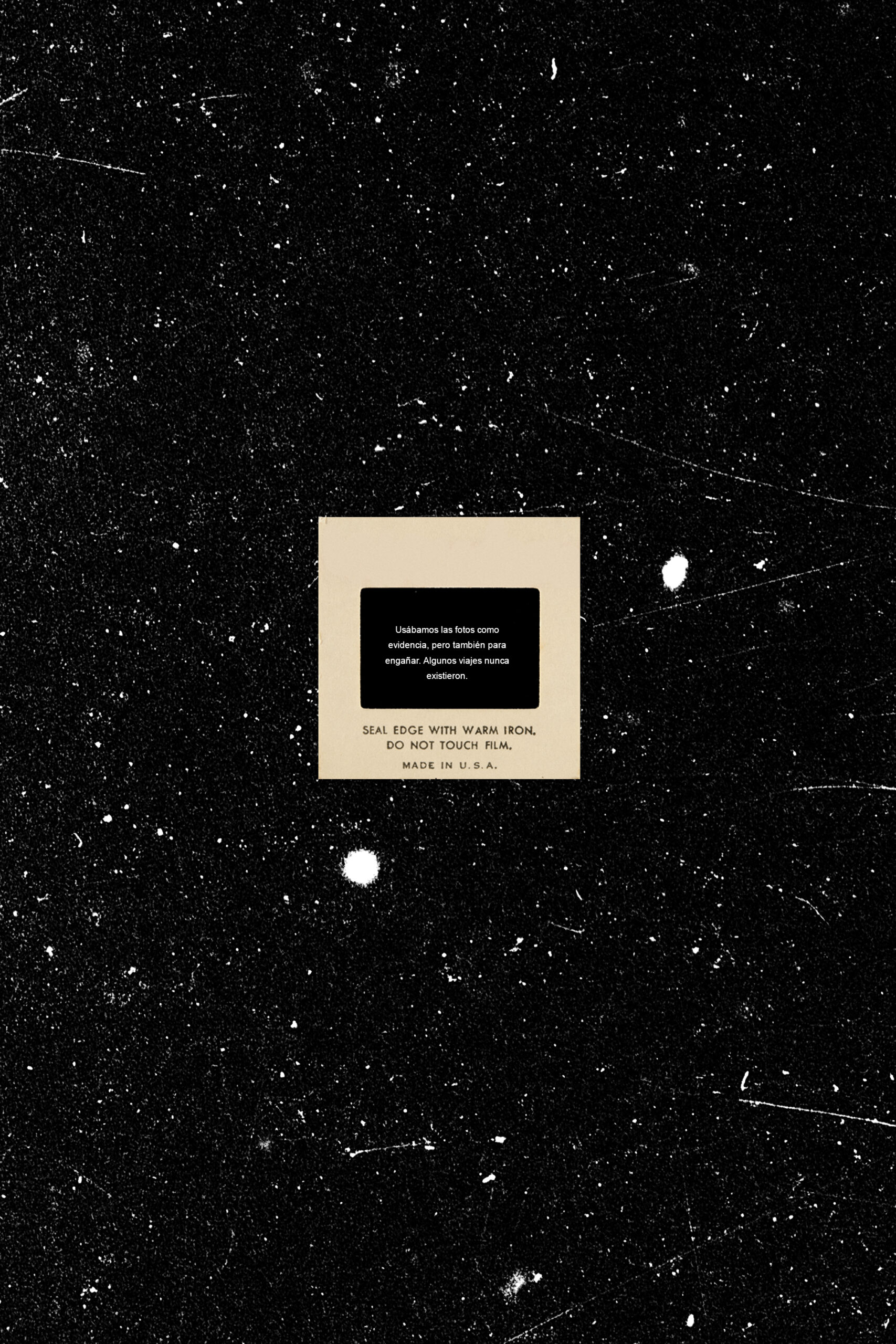 Celeste Rojas Mugica