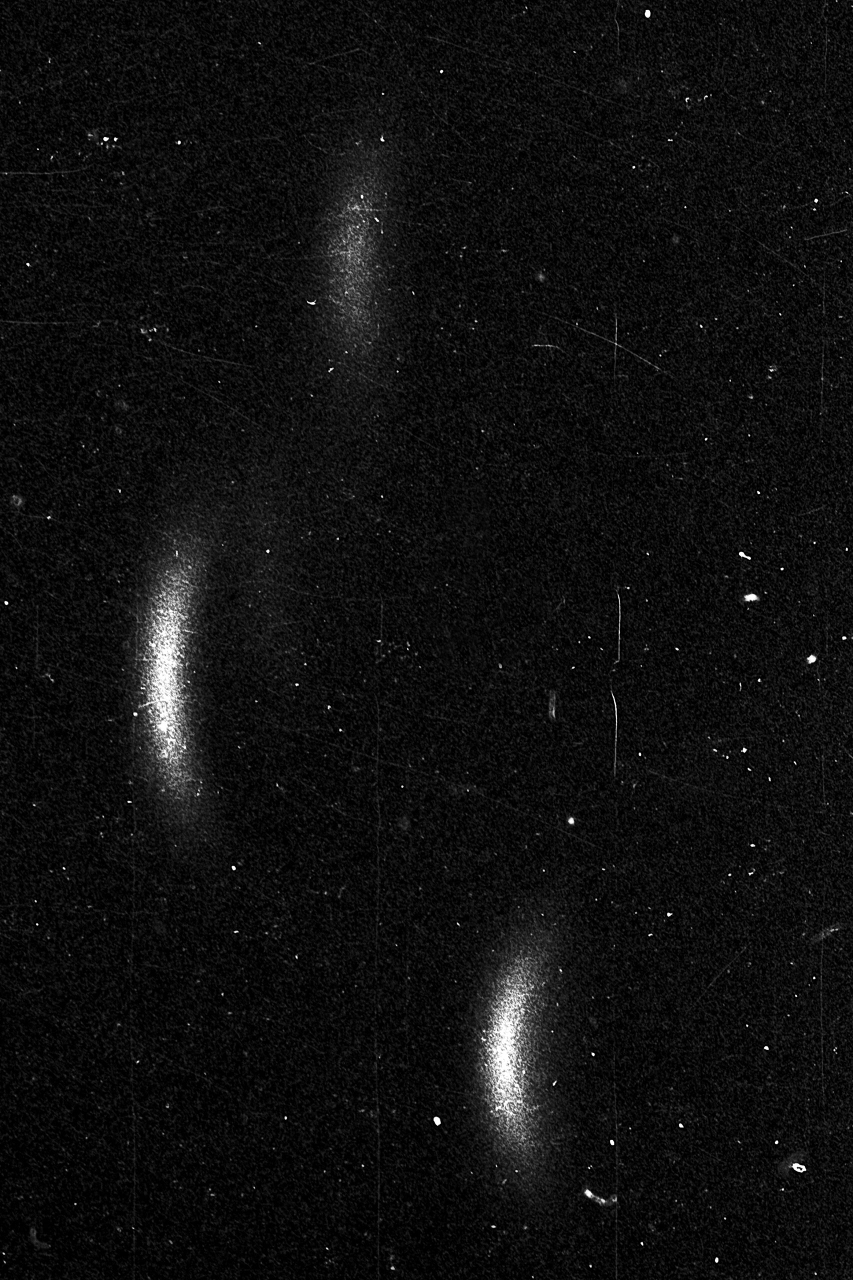 Celeste Rojas Mugica