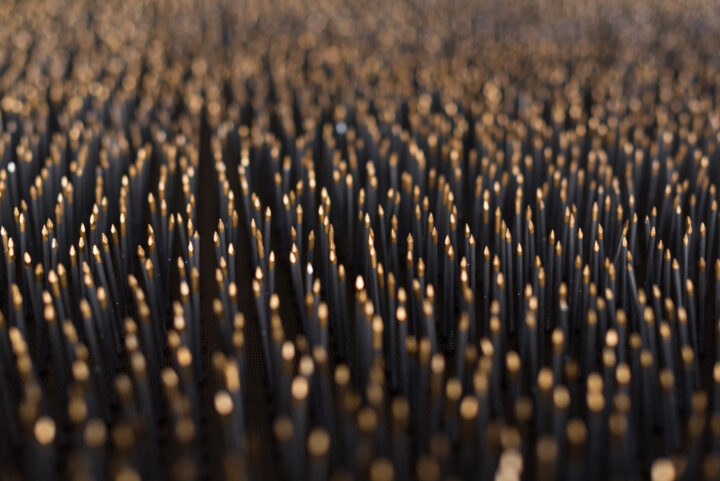 Consuelo Walker Guzmán