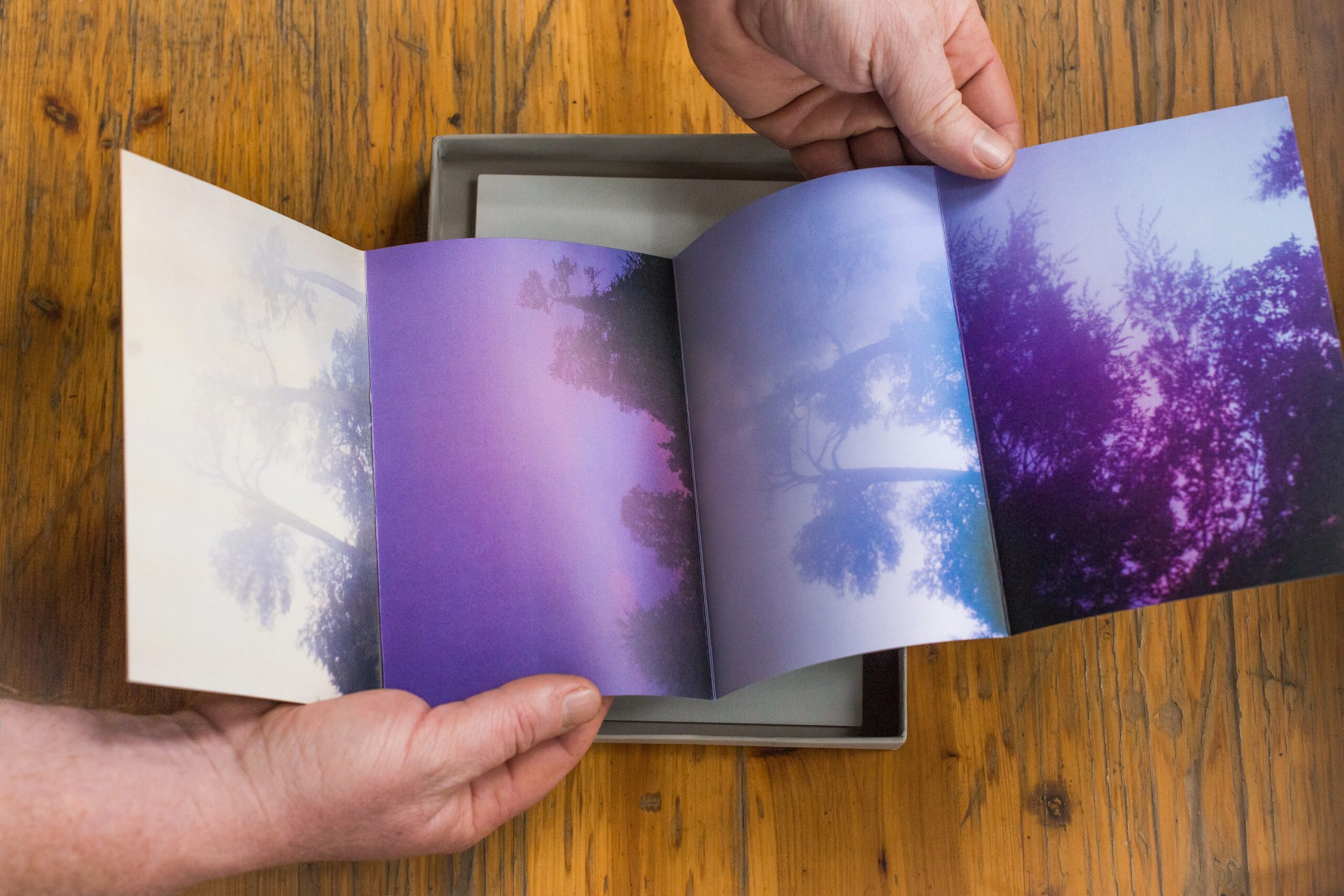 Josefina Astorga Ugarte