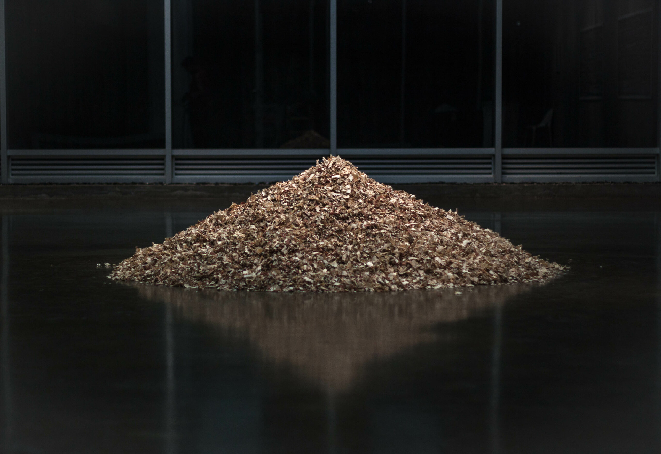 Gabriel Holzapfel Mancini