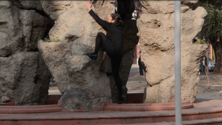 Claudia Del Fierro Gallegos