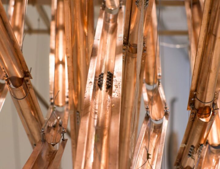 Claudia González Godoy