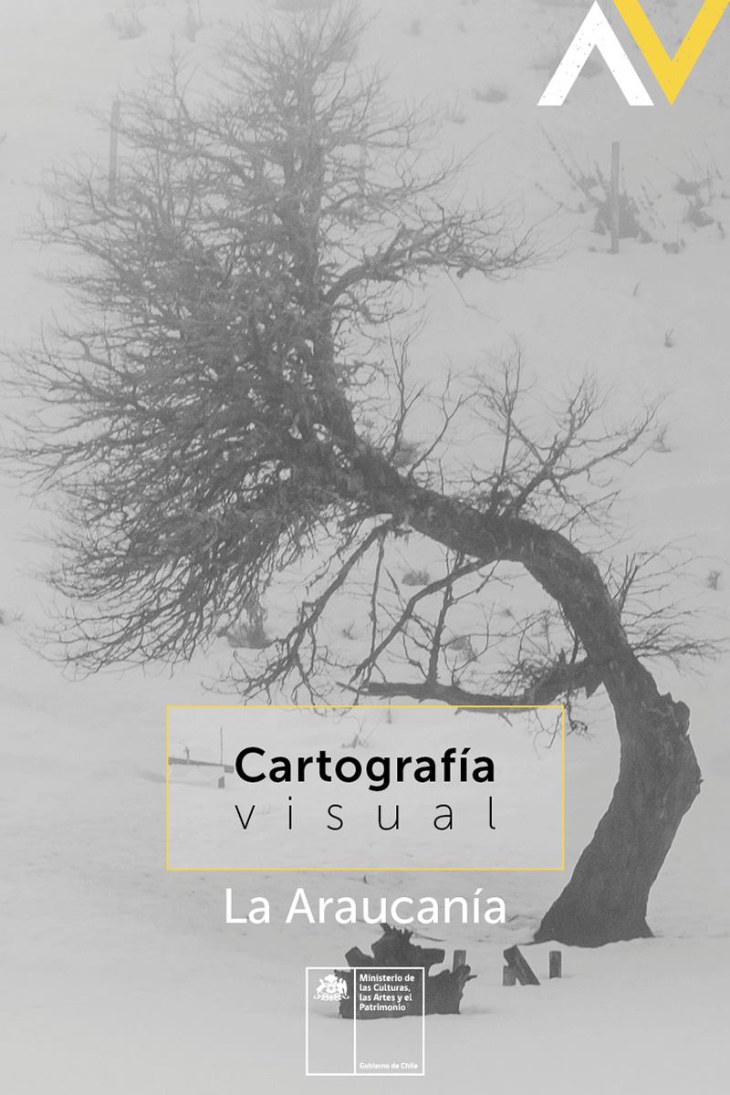 Cartografía visual: La Araucanía