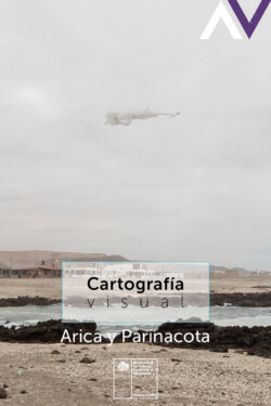Cartografía Arica y Parinacota