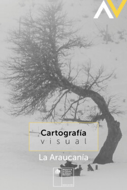 Cartografía La Araucanía