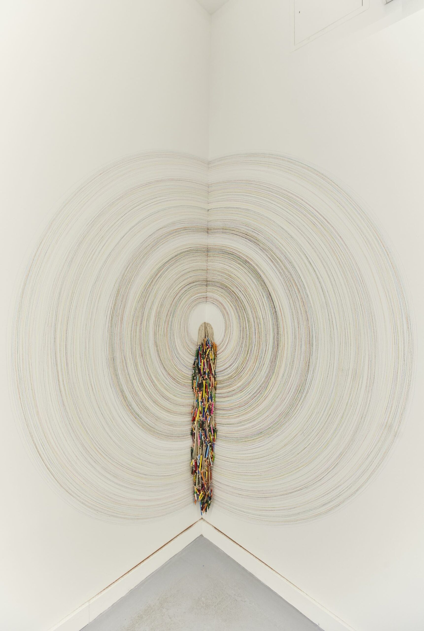 Catalina Bauer Novoa