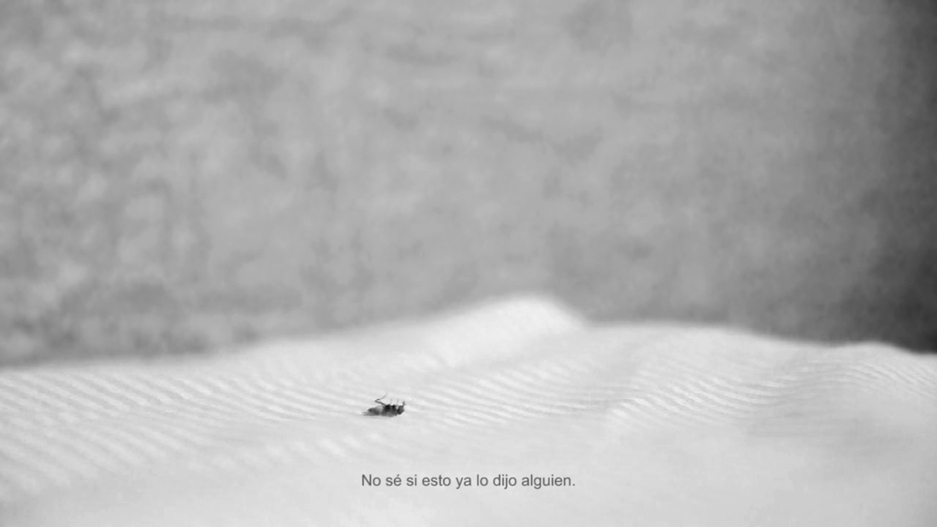 Andrea González Guzmán