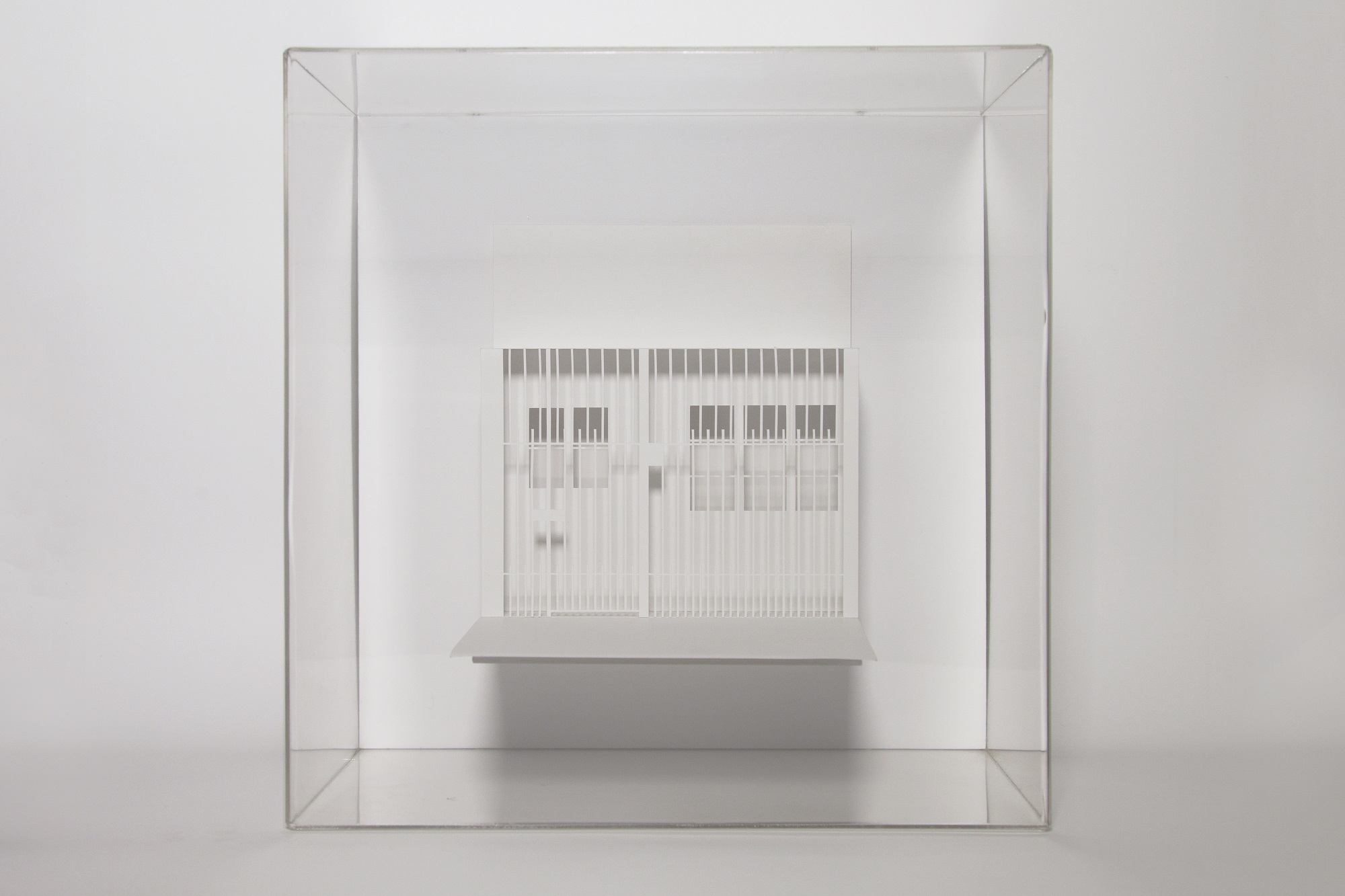 Carol Illanes Manríquez