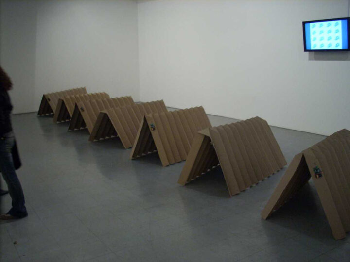 Carolina Pino Ahumada