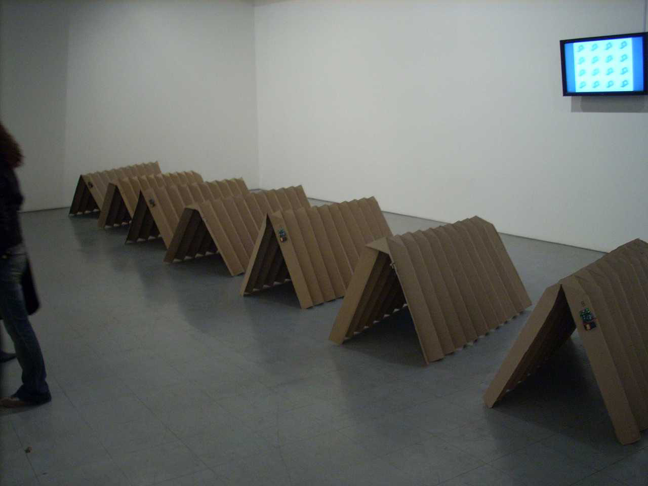 Carolina Pino Ahumada