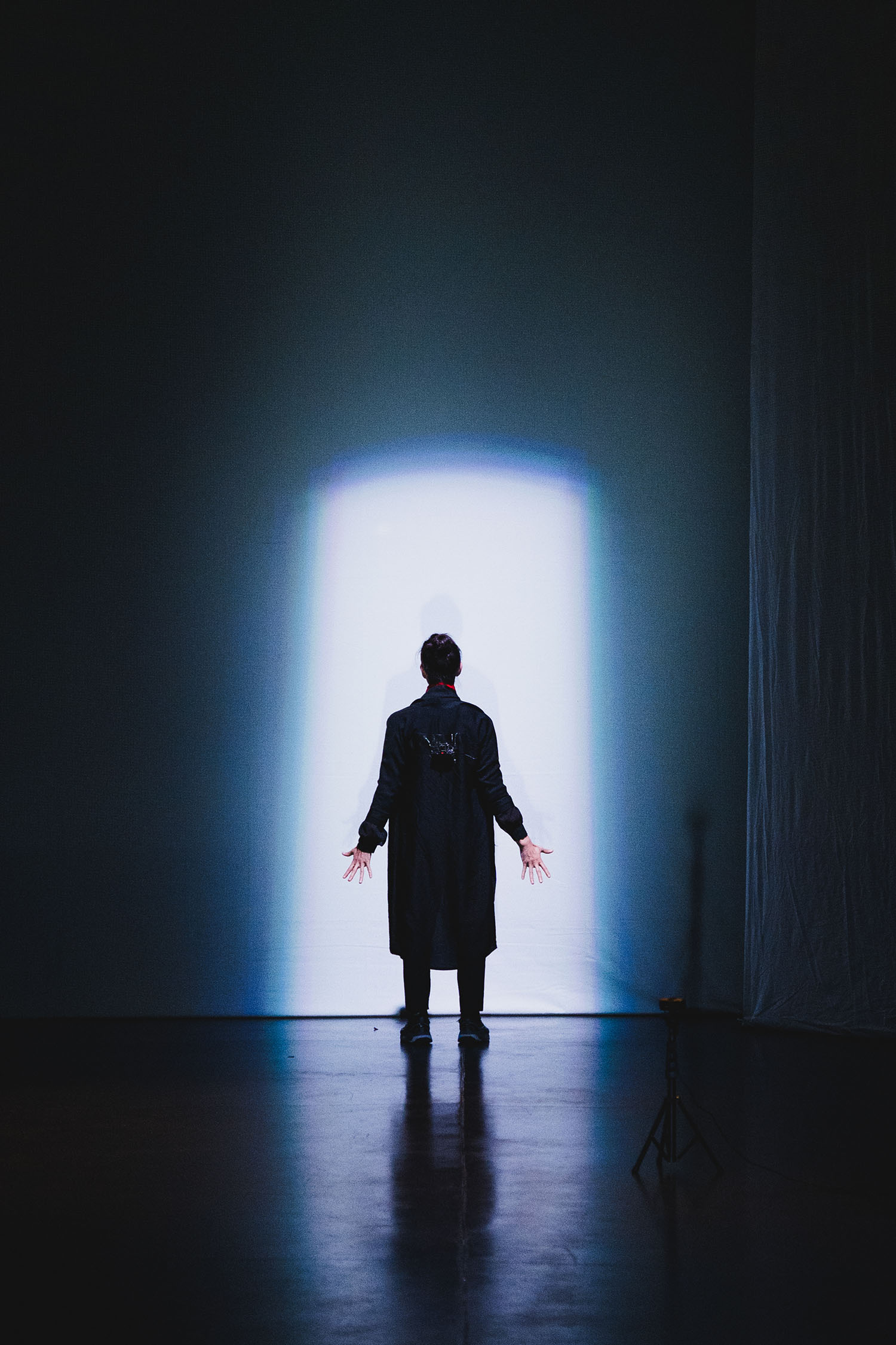 Tecnocorporeidades