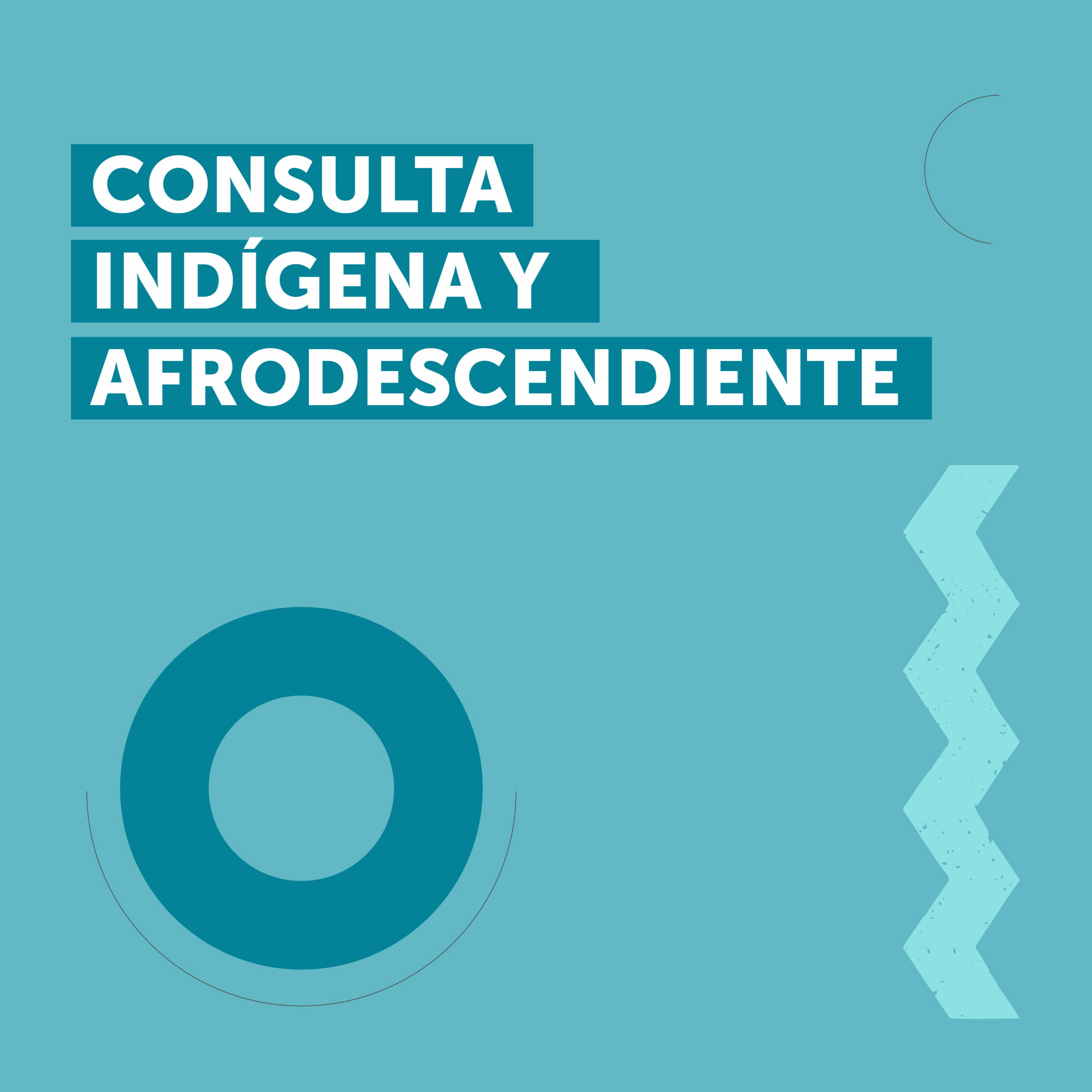 consulta indigena y afrodescendiente