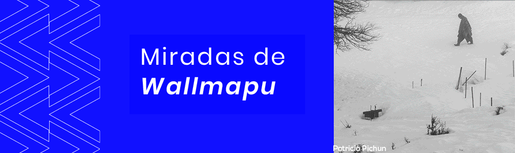 Miradas de Wallmapu