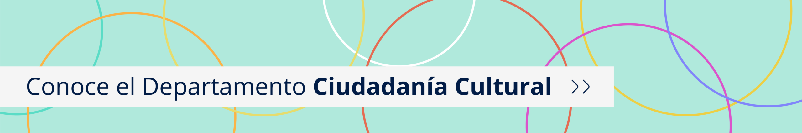 Sitio web Departamento de Ciudadanía Cultural