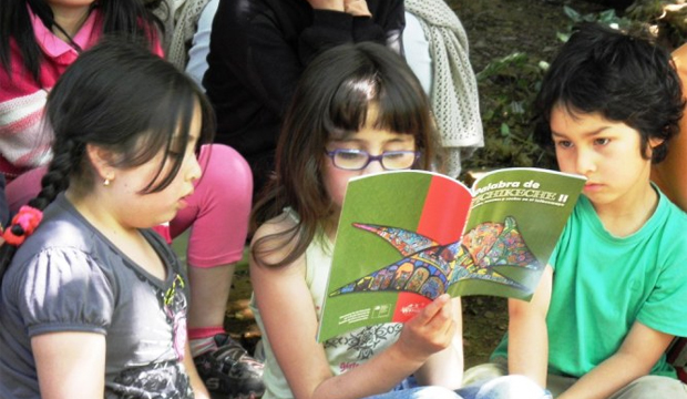 Niños leyendo cuentos en mapudungun, Niebla, Valdivia, Región de Los Ríos