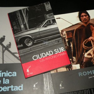 Consejo de la Cultura de La Araucanía recibió donación de libros