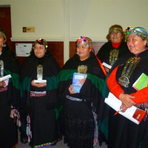 En el Encuentro de Turismo y Patrimonio Cultural fueron invitados de forma especial las directivas de las nueve agrupaciones mapuches que hay en la Región.