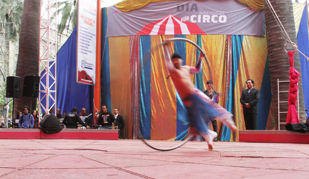 día del circo 2012