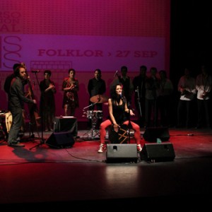 concierto-advis-2011