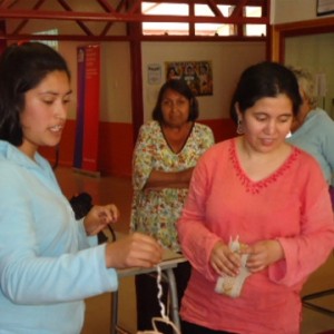 Artesana Marcia Faúndez realizó capacitación a sus pares en jornada Microzonal