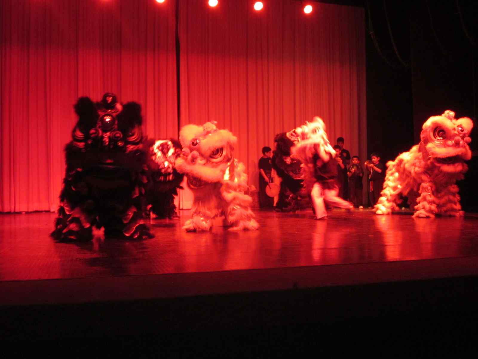 Danza del León