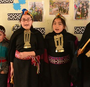 Estudiantes de Escuela Villa Carolina de Temuco conocen las expresiones culturales del pueblo mapuche