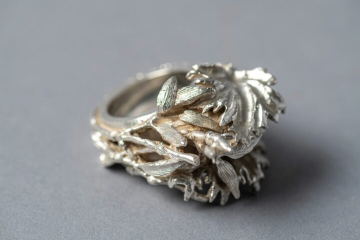 Lucía Natalia Nieves, "Atlas botánico: Alianzas botánicas"