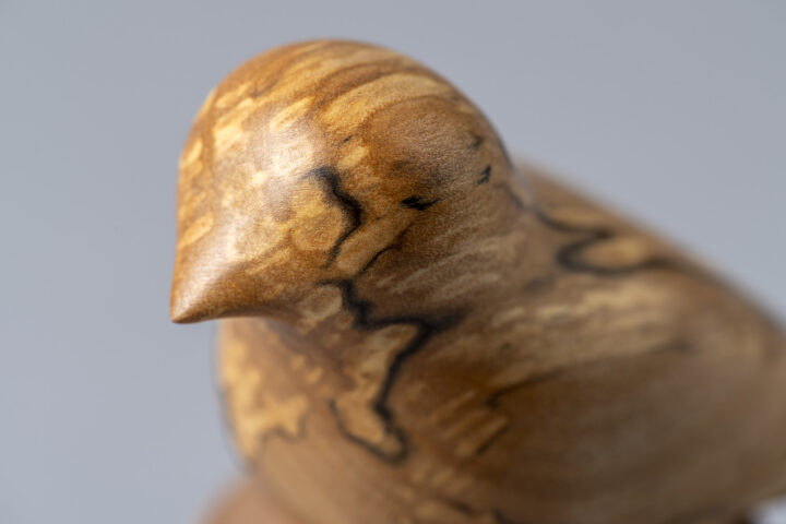 Confluencia / Rodrigo Lizama, Coyhaique, Región de Aysén