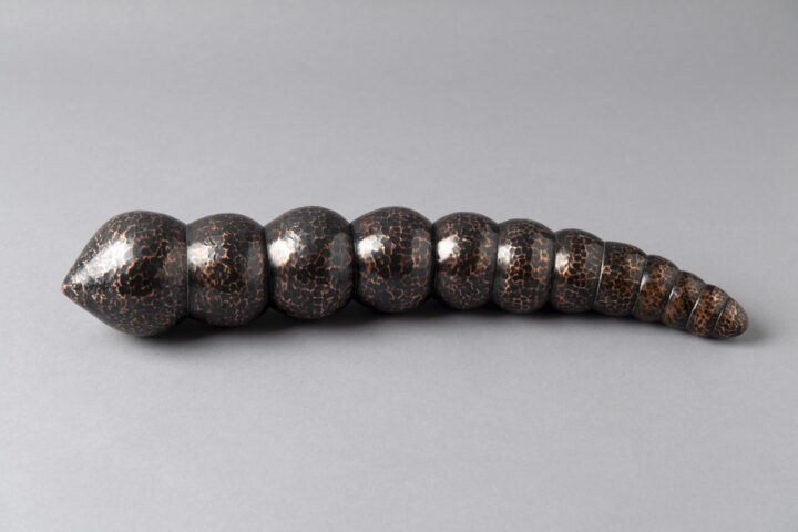 Micro fósil Navidad - Juan Carlos Orellana, Machalí, Región de O'Higgins