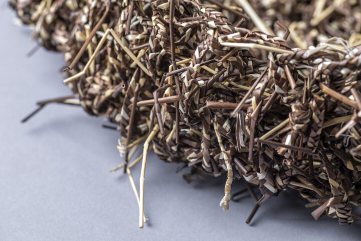 Trenzado Castellano - Marcela Parra, Ninhue, Región de Ñuble