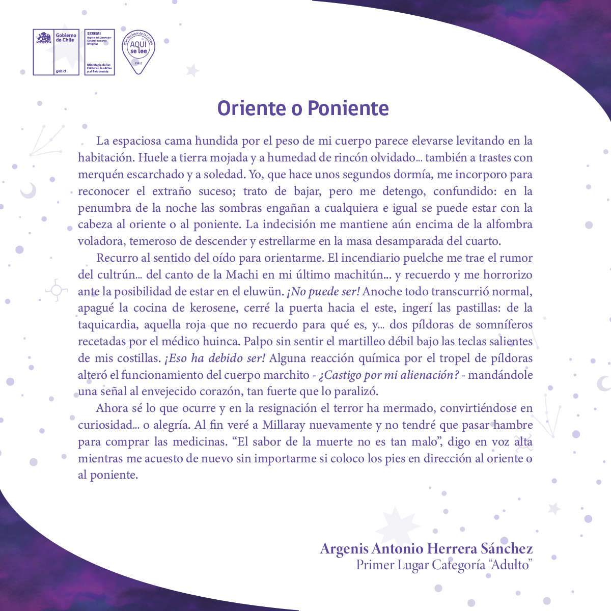 Ganador Categoría Adultos