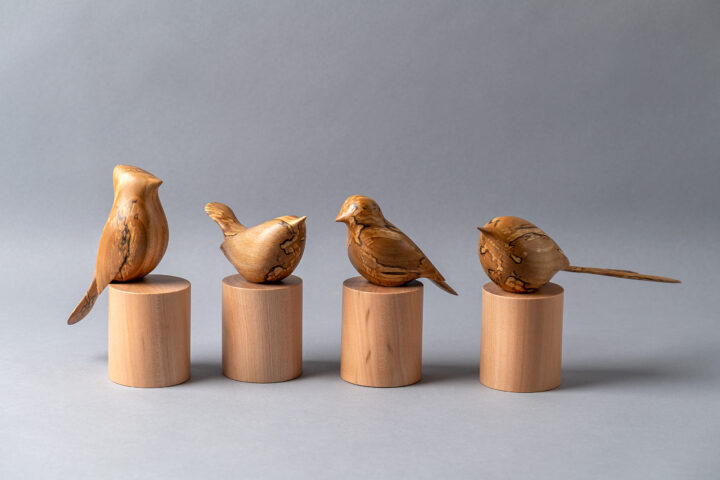 Confluencia, de Rodrigo Lizama Hernández (Coyhaique) / Foto: Macarena Achurra