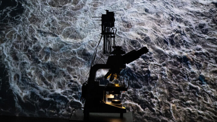 “Sistema Cinco: Non-Human Determinations”. Créditos: Cristo Riffo / Ars Electronica 2023