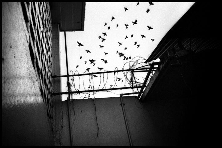 Fotografía: 27 AÑOS, 8 MESES, 14 DÍAS (Vida Yovanovich, 2009)