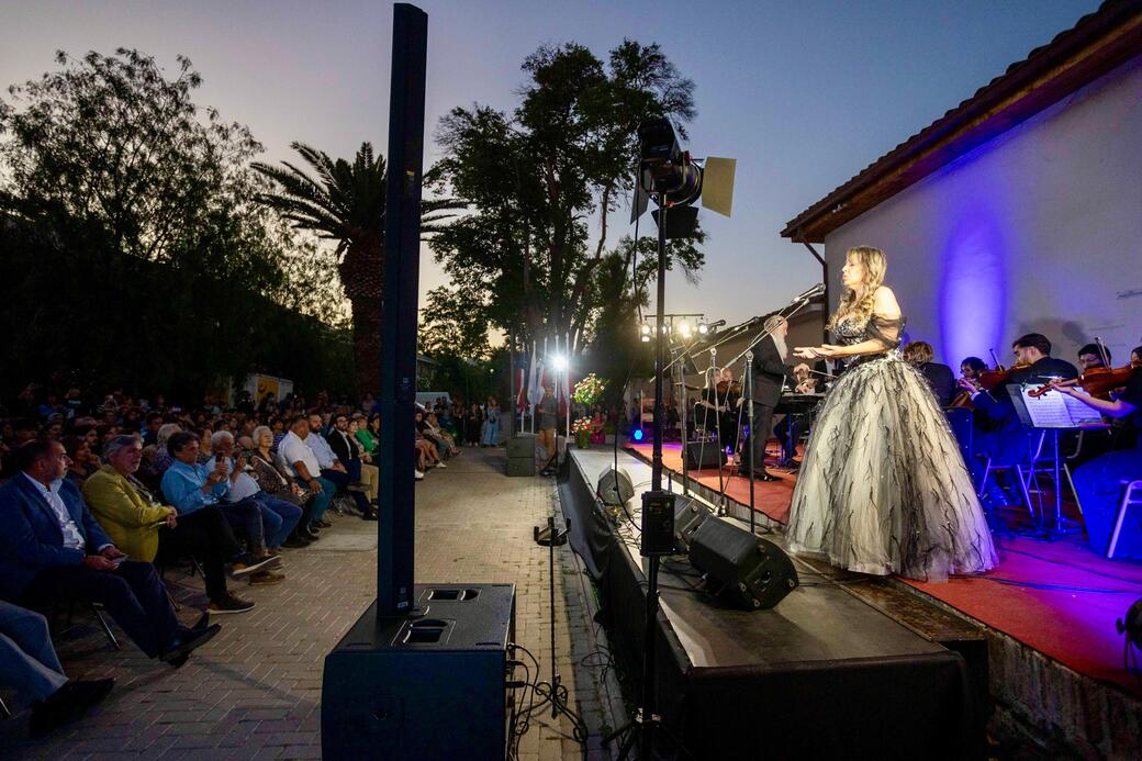 Invitan a celebrar el Día de la Ópera este sábado en Llolleo