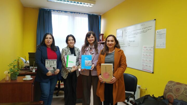 proceso de acompañamiento del programa Acciona en la Región de Los Lagos