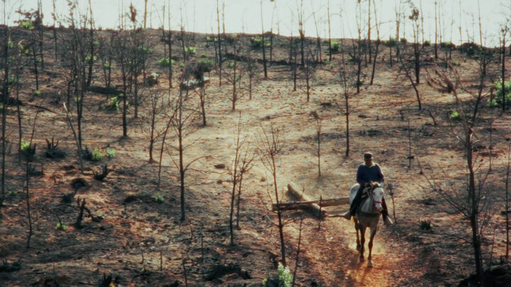 Con dos selecciones oficiales en el festival y un proyecto en el mercado, Chile se acerca al festival DOK Leipzig