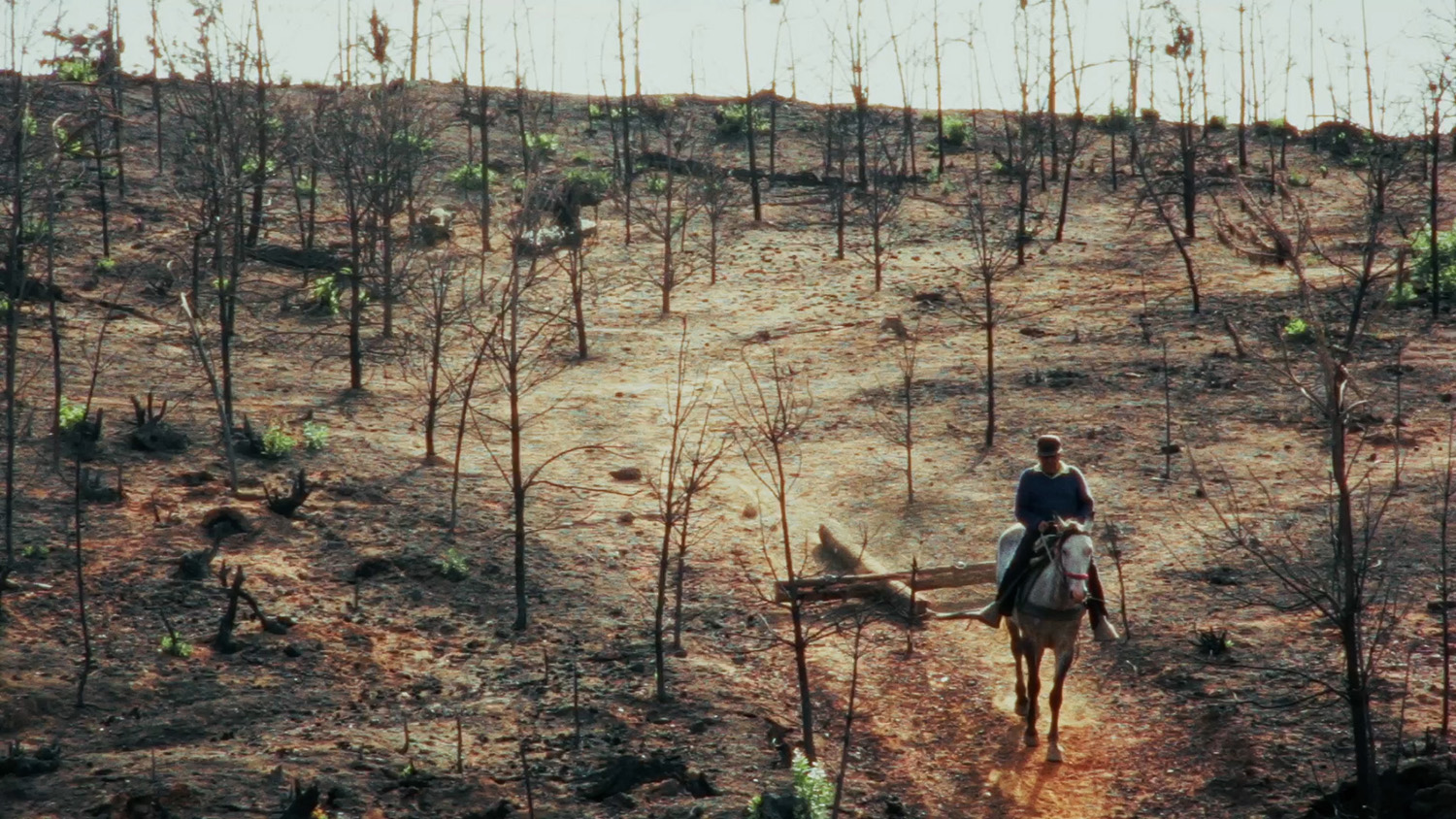 Con dos selecciones oficiales en el festival y un proyecto en el mercado, Chile se acerca al festival DOK Leipzig