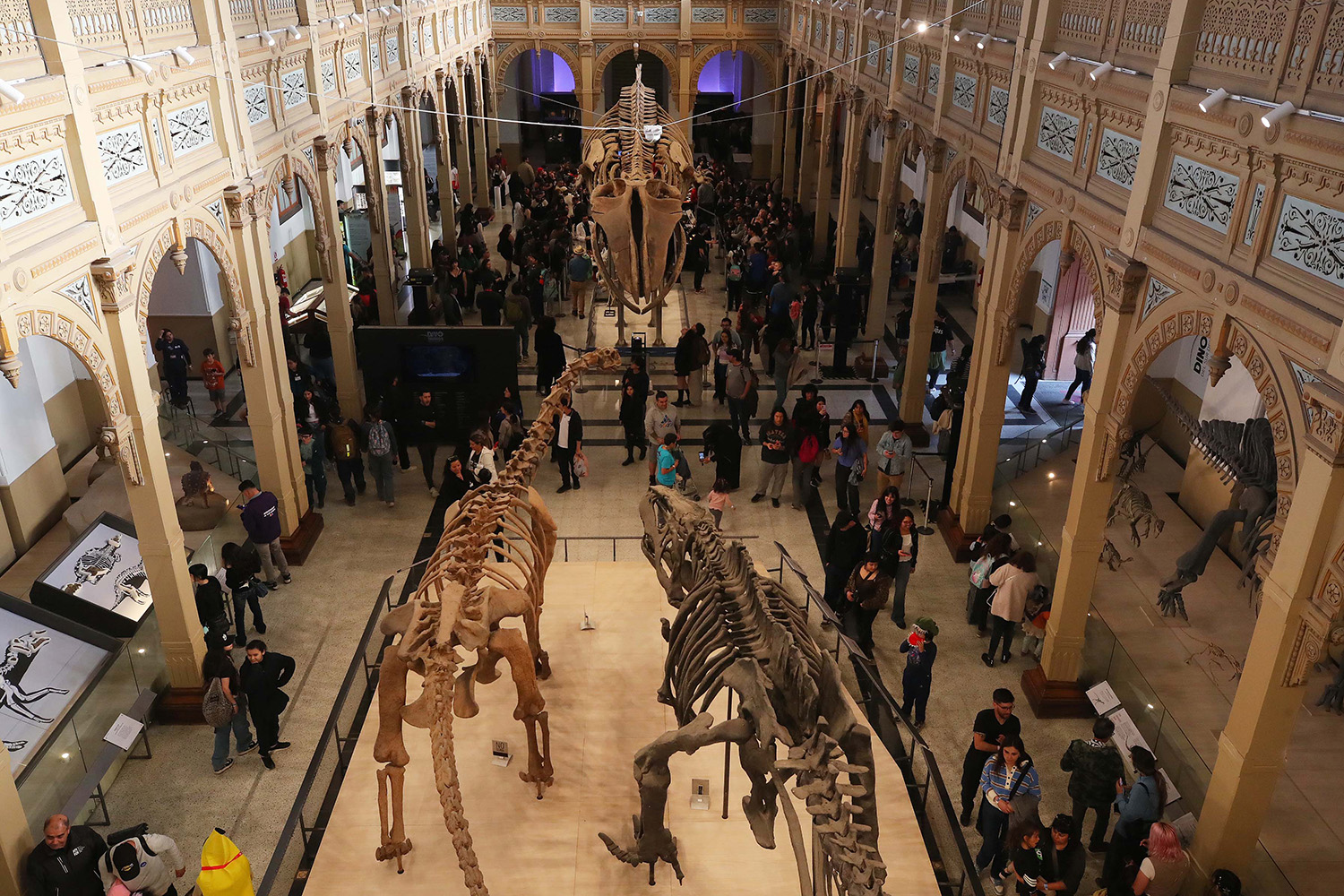 Noche de Museos alcanza más de 208 mil visitas en su versión 2025