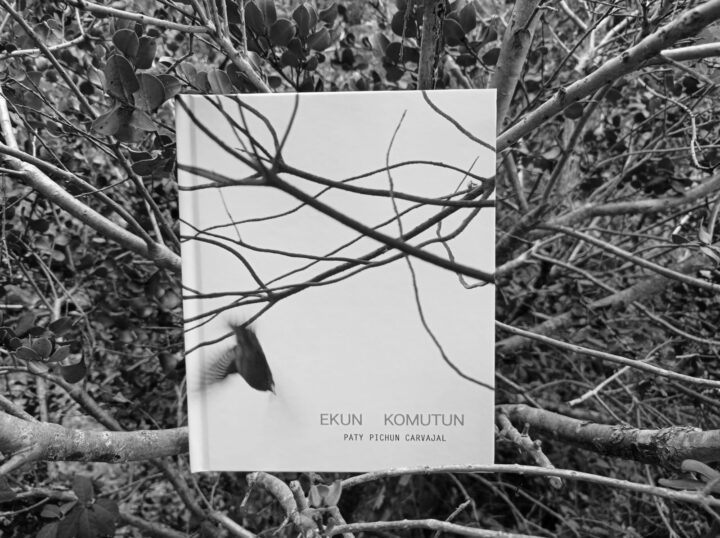 Fotógrafa Paty Pichun lanzará su primer Fotolibro