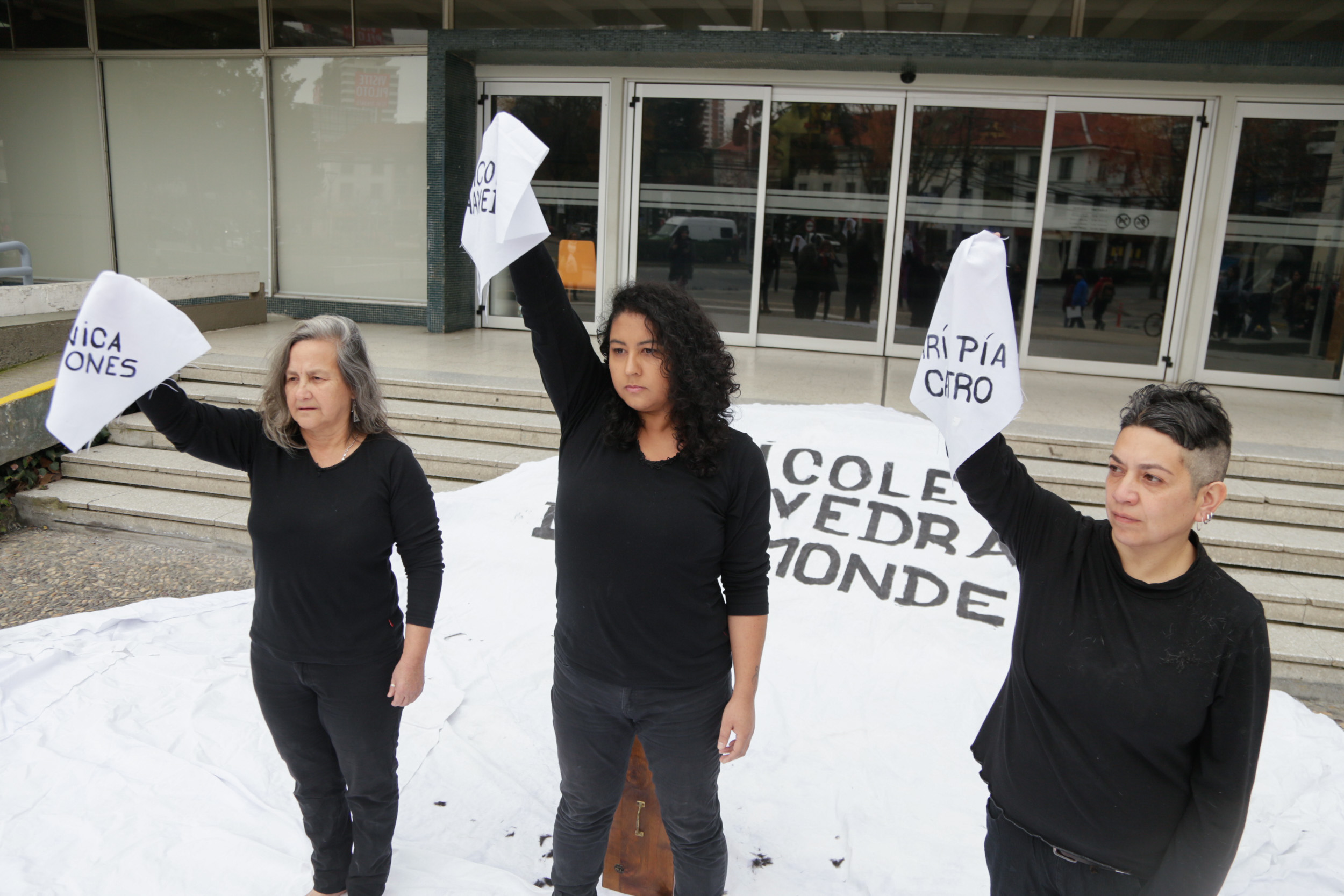 Lorena Muñoz lanza web y el libro “LAMB”